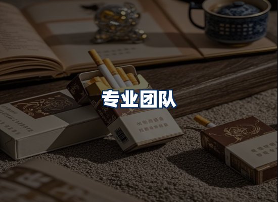专业团队